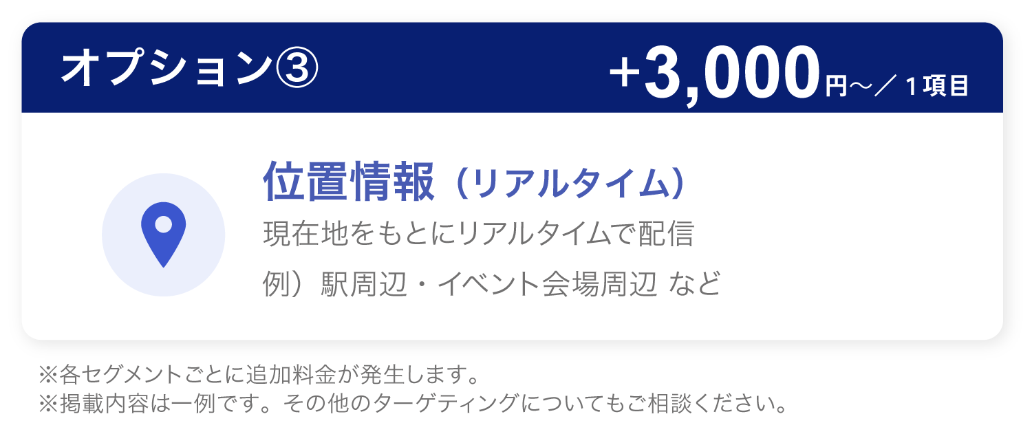 オプション③　+3,000円/１項目でターゲティングをより細かく設定できます。